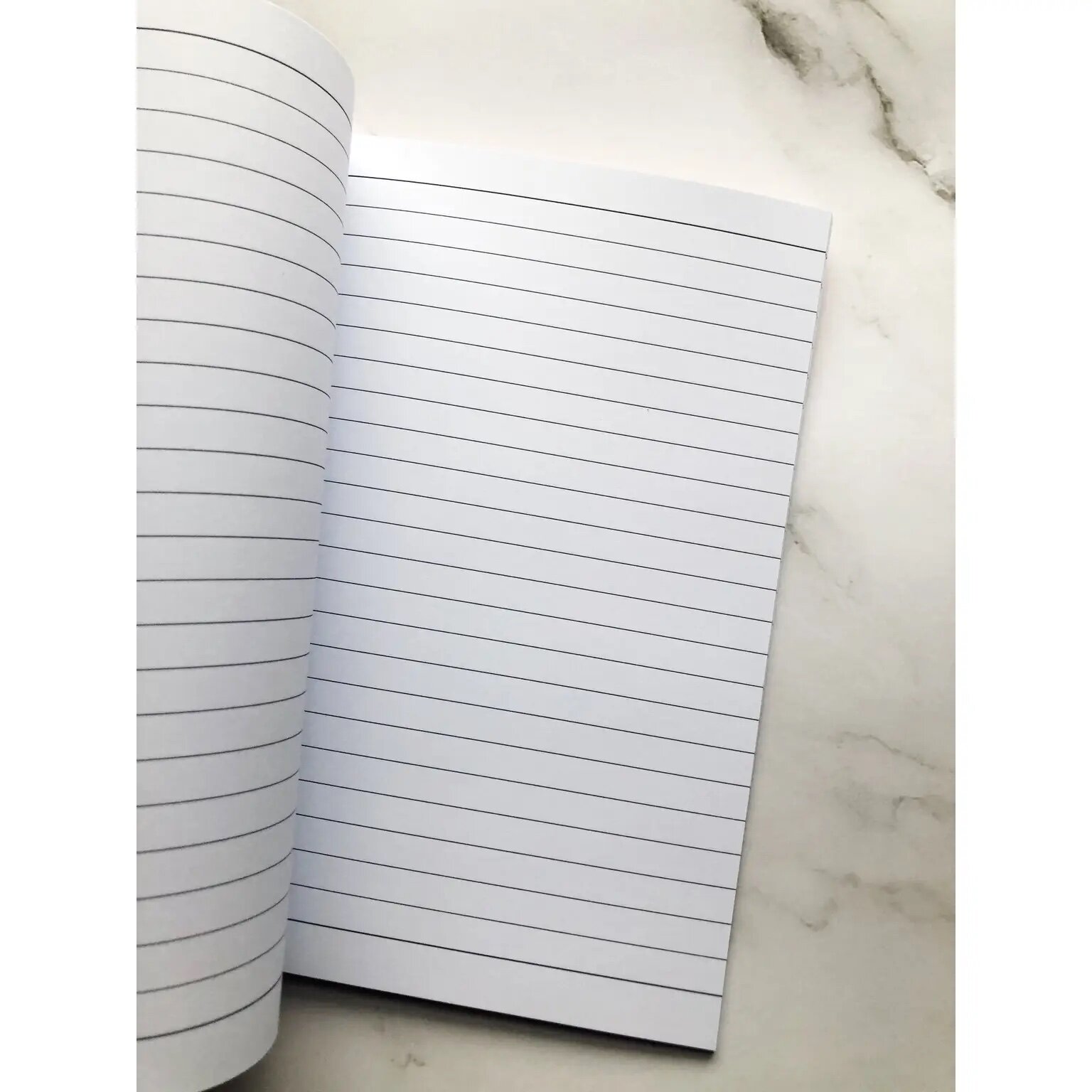 queen bey lemonade journal (beyoncé)